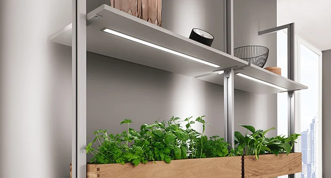 Lighting 5
